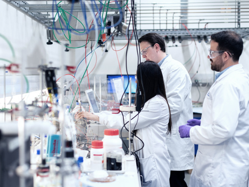 ¿Cuáles son las 4 reglas del control de calidad?