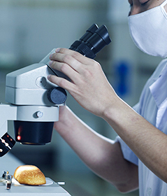 Rica experiencia desde el año 2008.